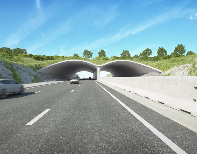 Image of New Lower Thames Crossing images released